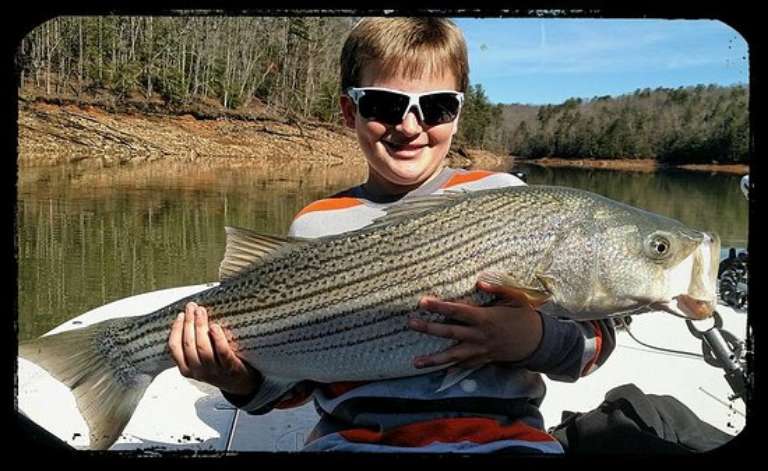 Big Ol' Fish Guiding Service