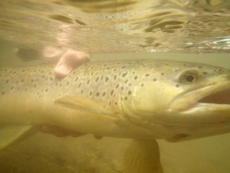 Rivers Edge Outfitters