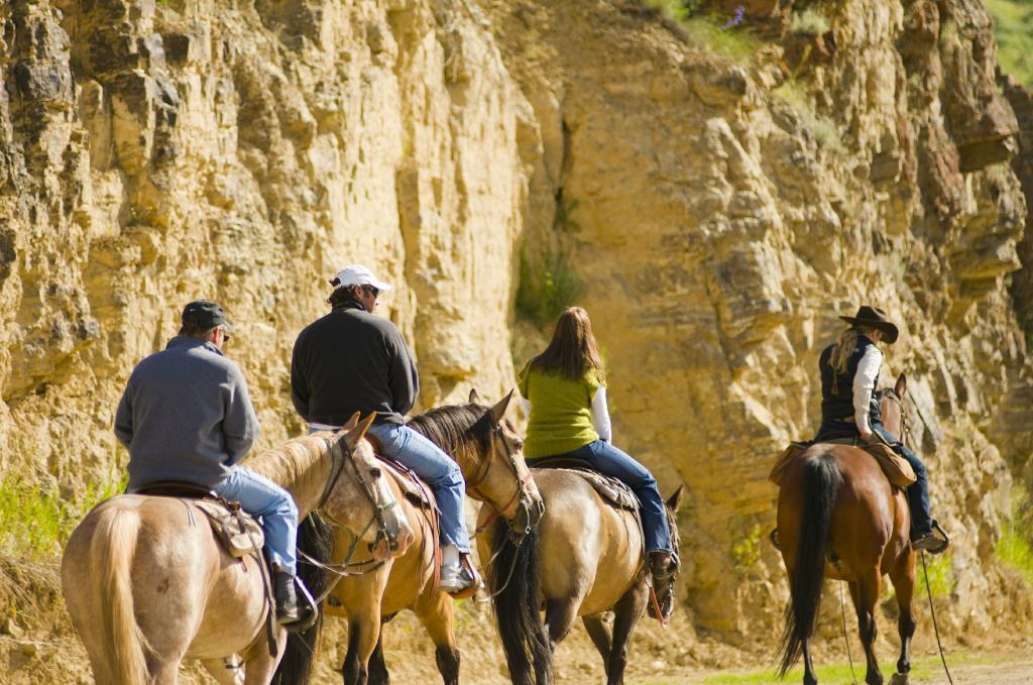 320 Guest Ranch