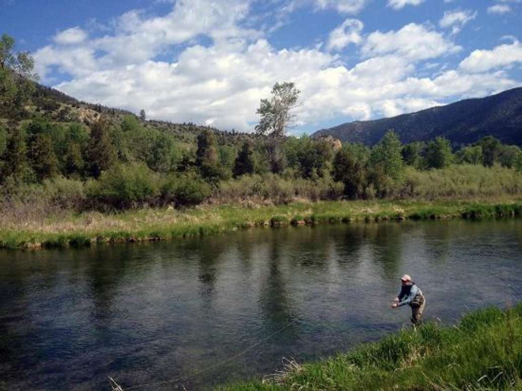 Sweetwater Fly Shop