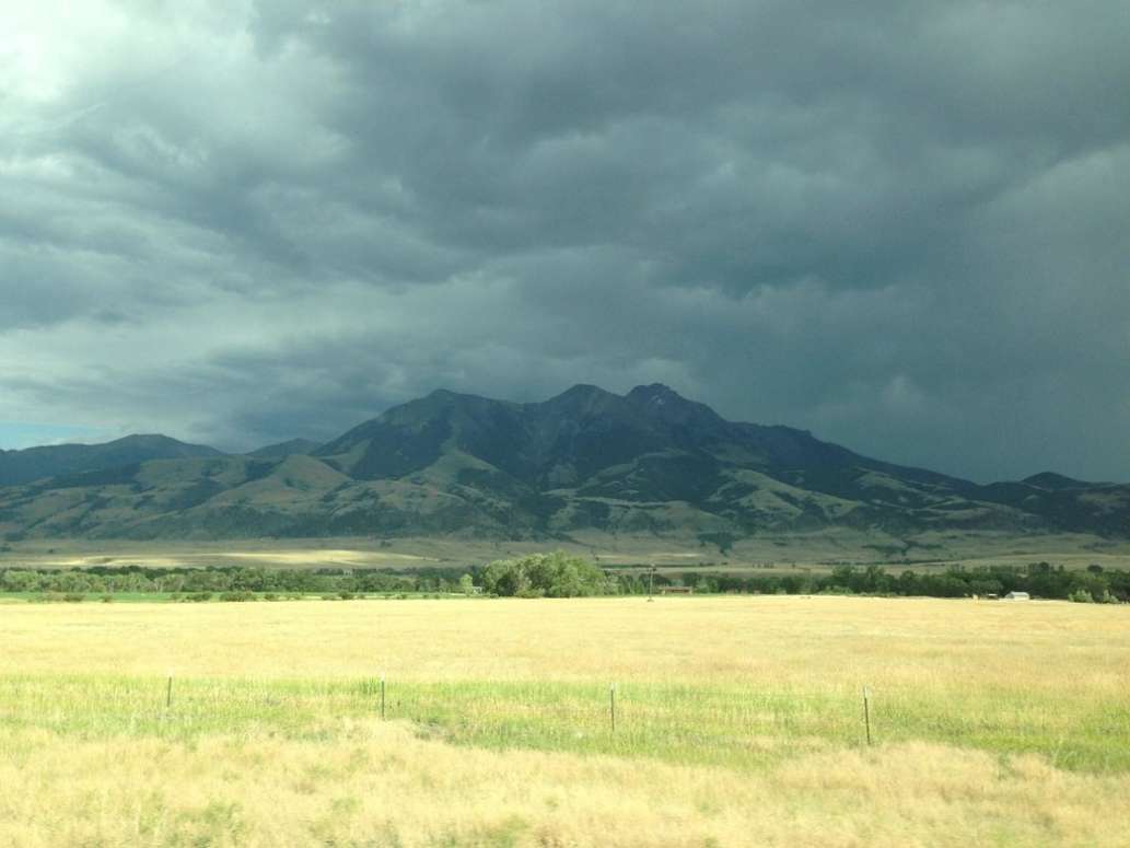 Bozeman Angler