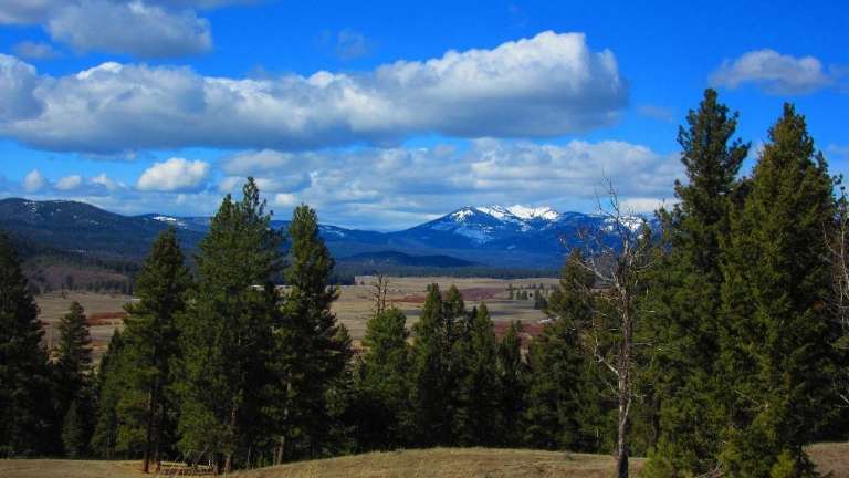 Blackfoot Angler & Supplies