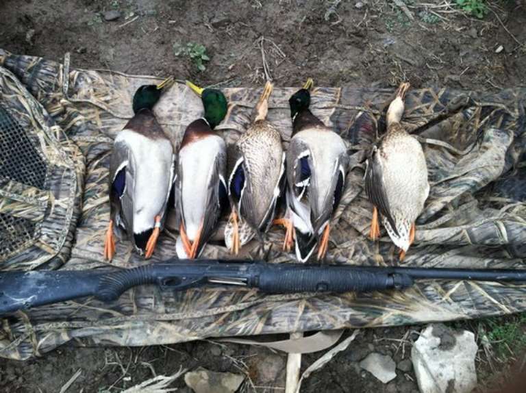 Upstate Guide Service