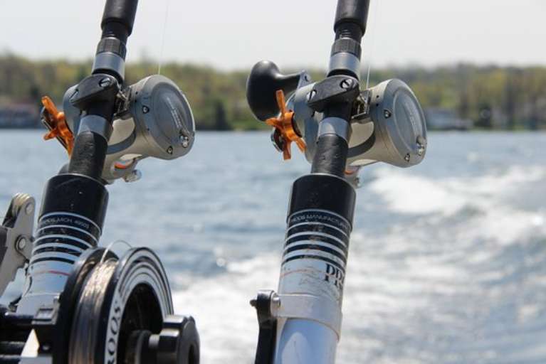 Shady Lady Sport Fishing Charters