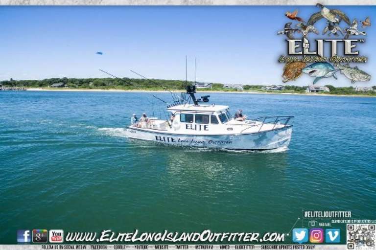 Elite Long Island Outfitter