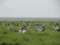 Portsmouth Island Boat Tour