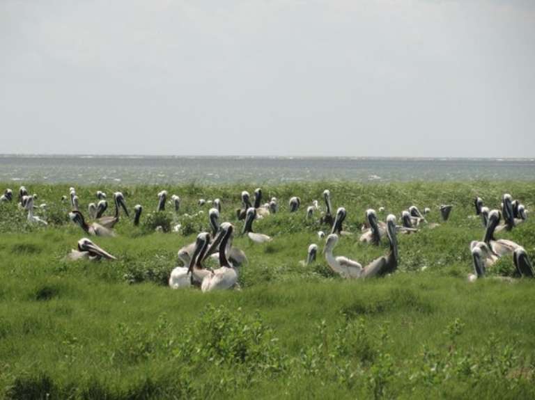 Portsmouth Island Boat Tour