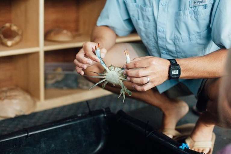 Ecological Marine Adventures