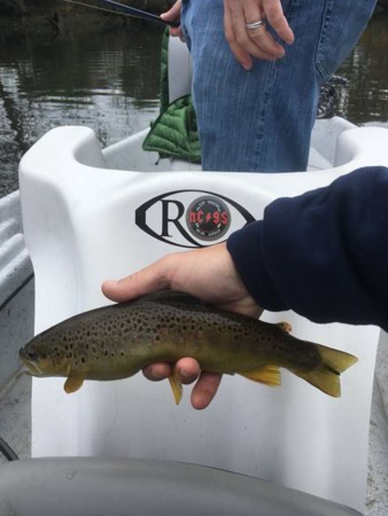 High Country Guide Service