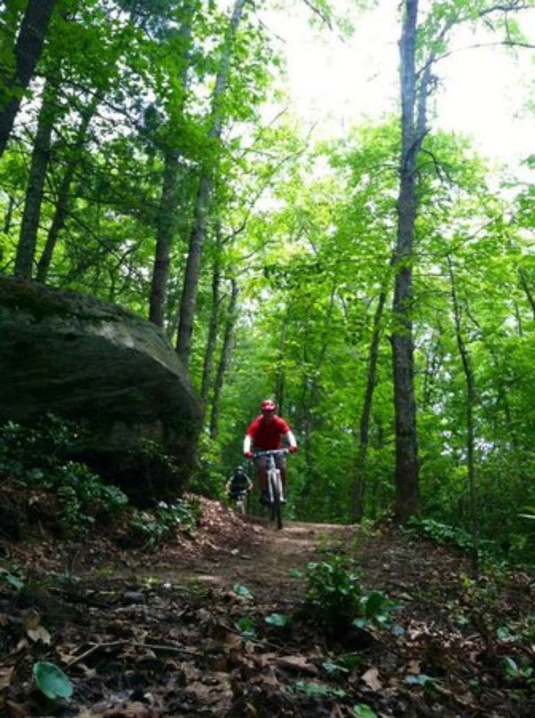 Pisgah Mountain Bike Adventures - Day Tours