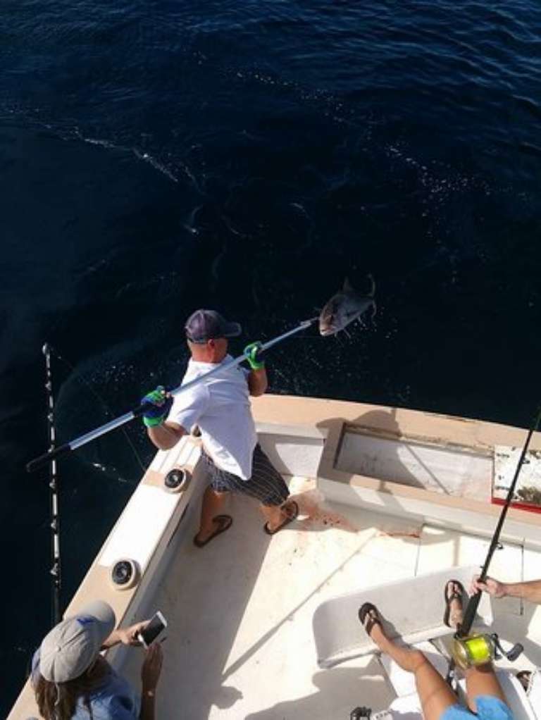 No Sweat Sportfishing