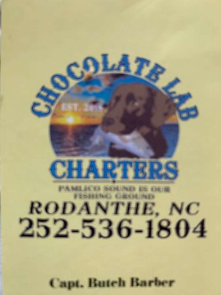 Chocolate Lab Charters