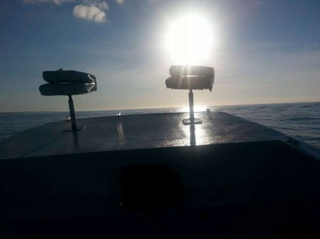 New River Shore Thing-Day Boat Tours