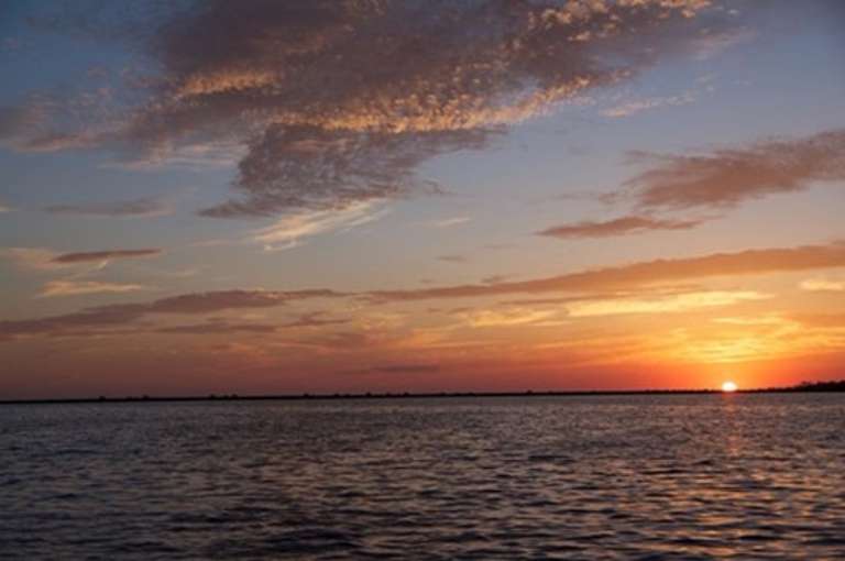 Paradise Dolphin Cruises