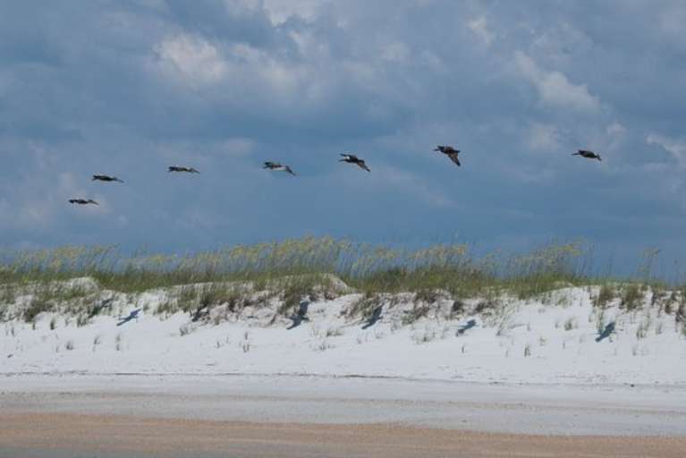 Wrightsville Beach Scenic Tours