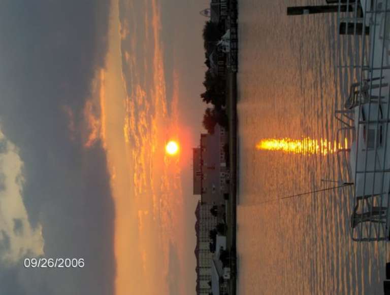 Island Ferry Adventures