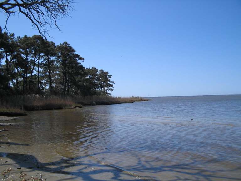 Nags Head Woods Ecological Preserve