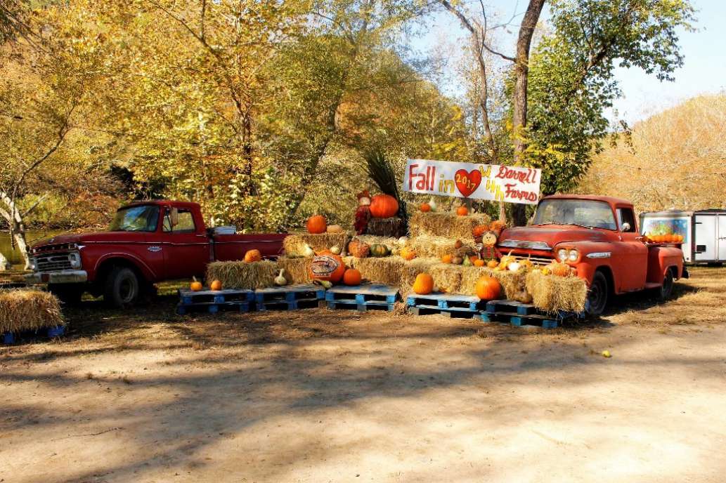 Darnell Farms