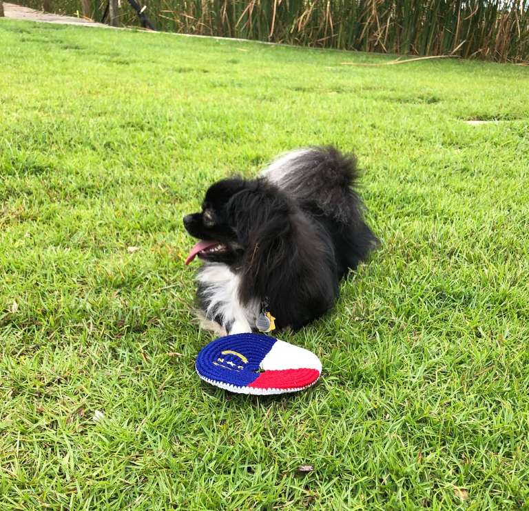 Herring's Outdoor Sports