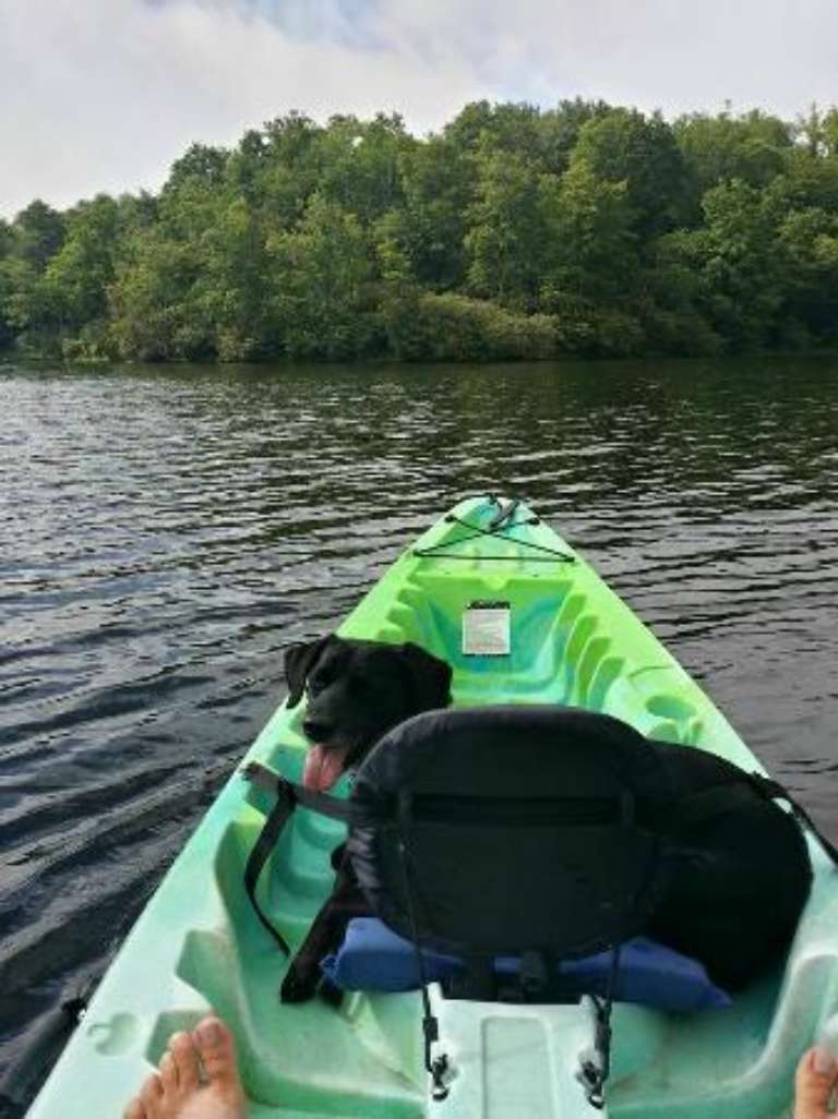 Price Lake Boat Rentals