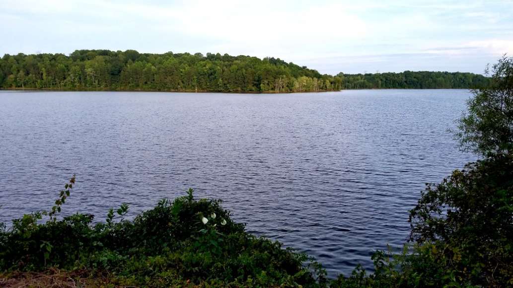 Lake Brandt Marina
