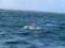 Godspeed Charters
