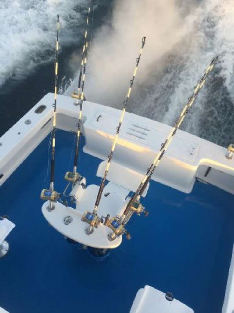 Seaducer Sportfishing Charters