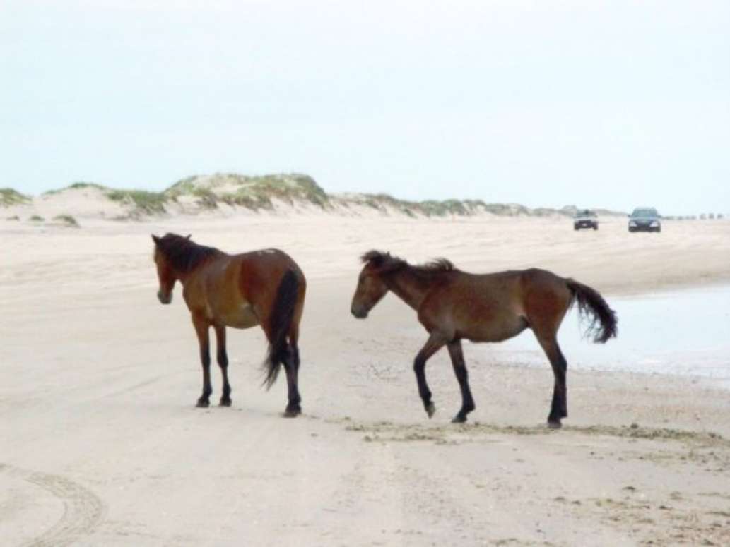 Currituck Beach