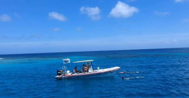 Full Throttle Tours Aruba