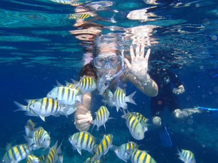 Sunbaby Glass Bottom Boat