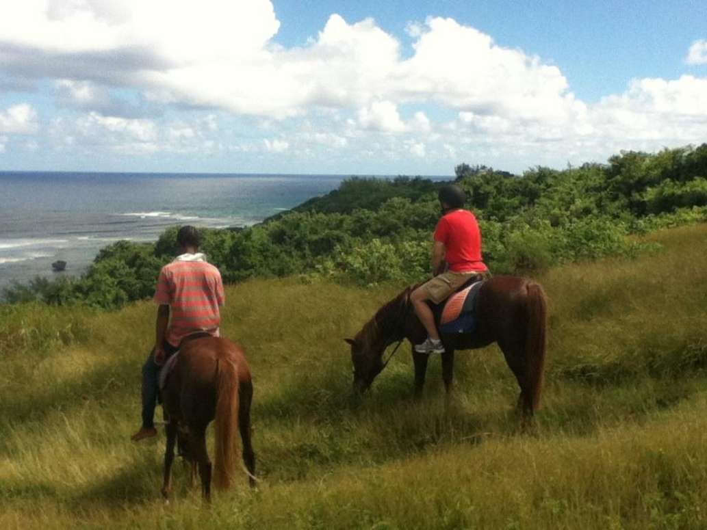 Ocean Echo Stables