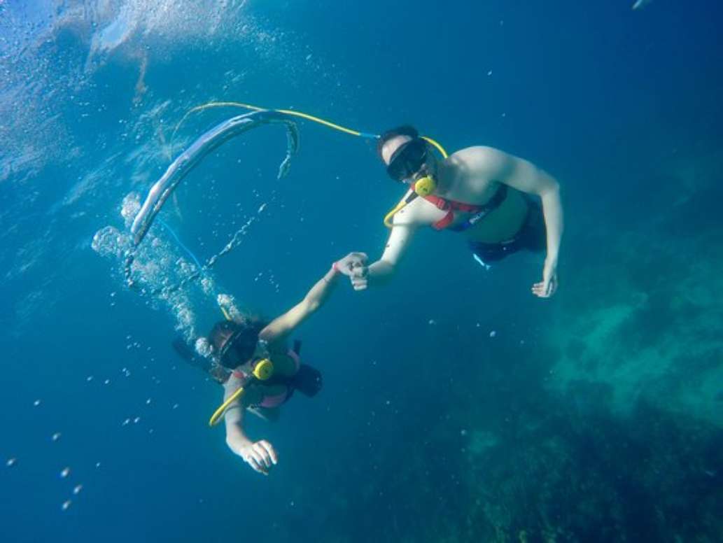 SeaPro Divers
