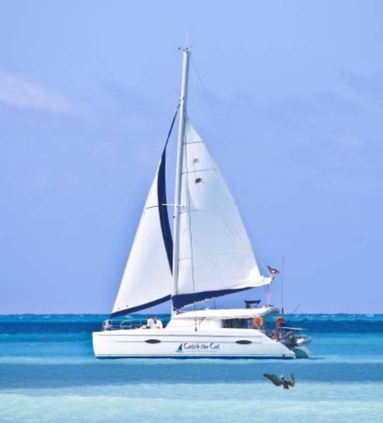 Catch The Cat - Private Sailing Charters