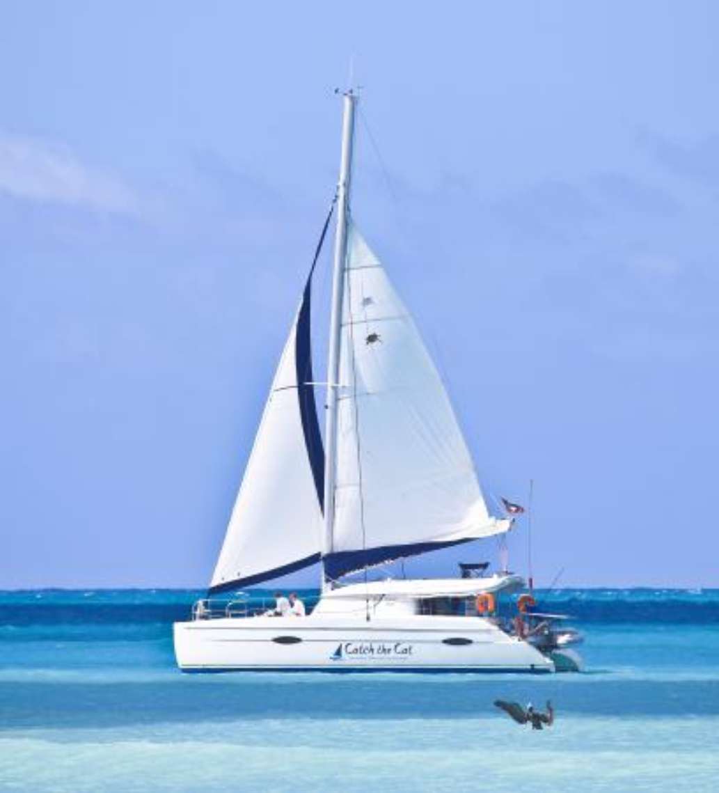 Catch The Cat - Private Sailing Charters