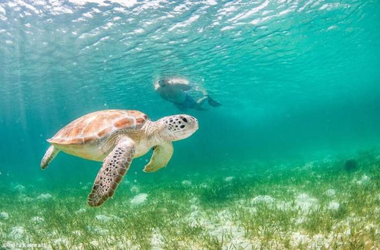 Valentine's Dive Center