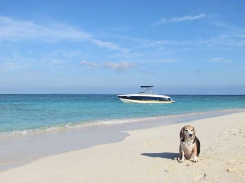 Serenity Sea Tours