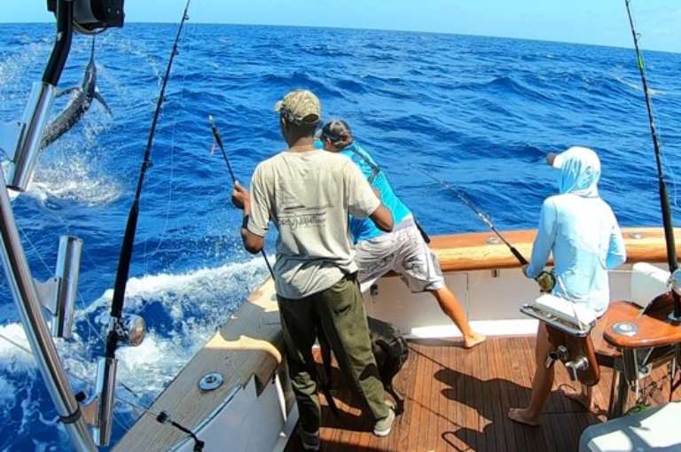 Carolina Gentleman Sportfishing