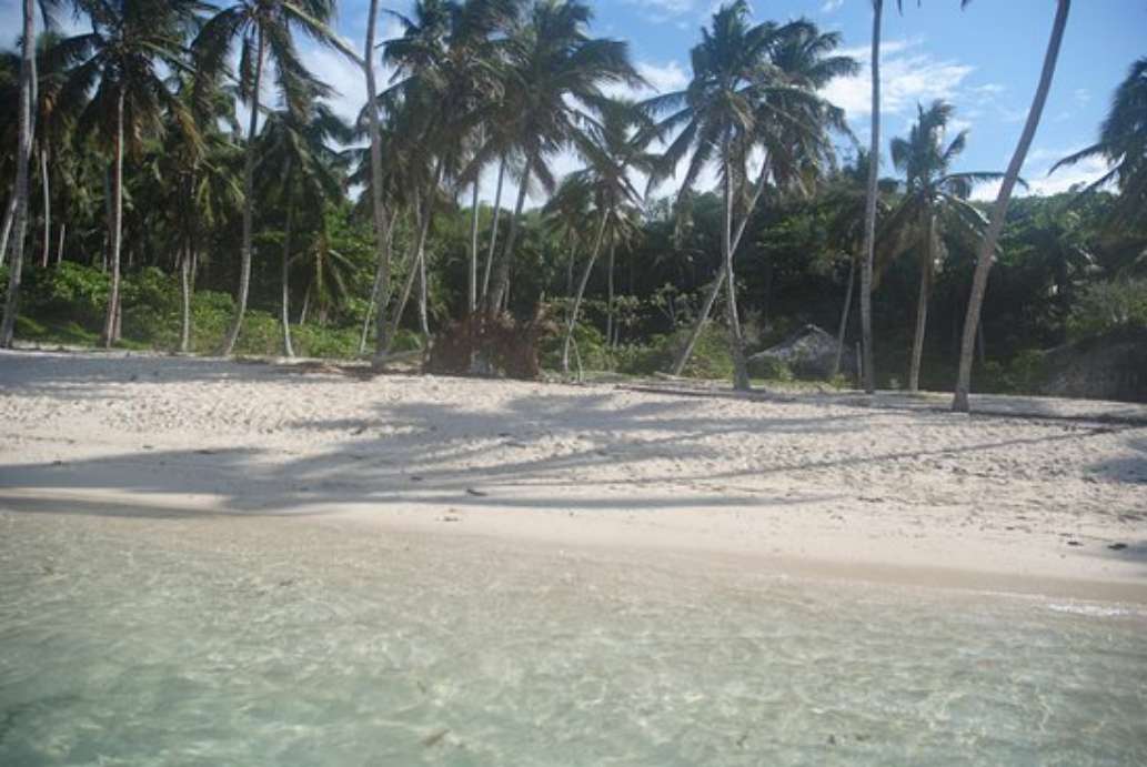 Nat Tours Samana