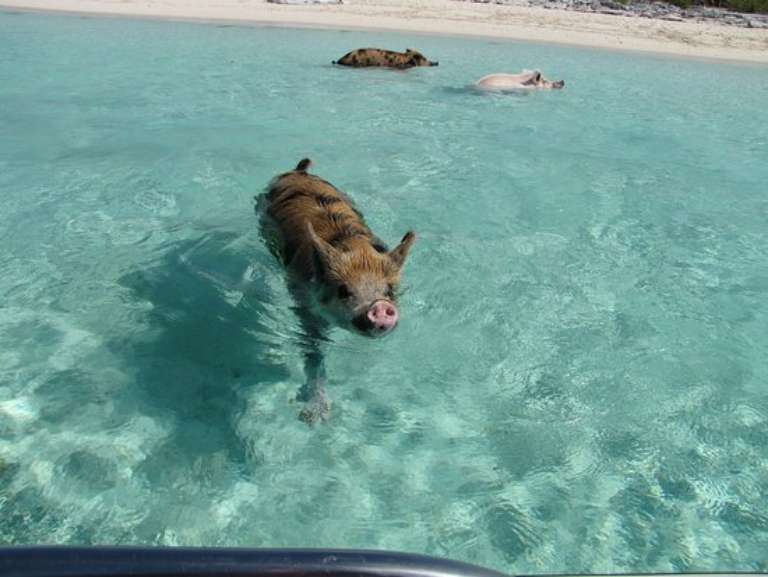 3N's Vacation Services