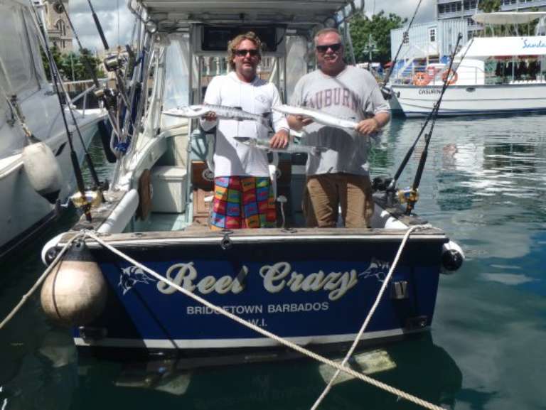 Zed's Surfing Adventures