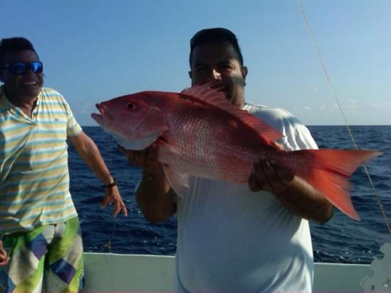 Bottom Fishing Aruba