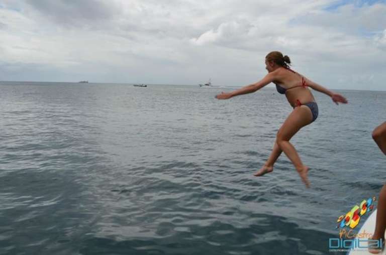 Pursuit Boat Trips & Tours