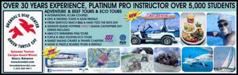 Brendal's Dive Center