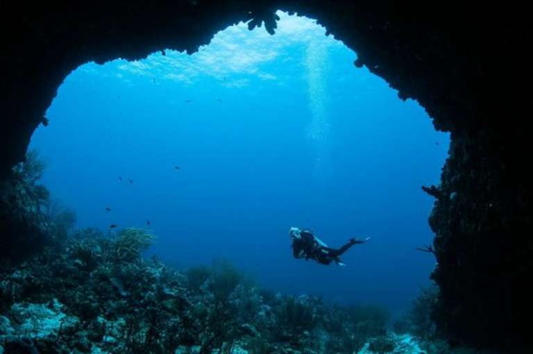 Dive Charter Curacao