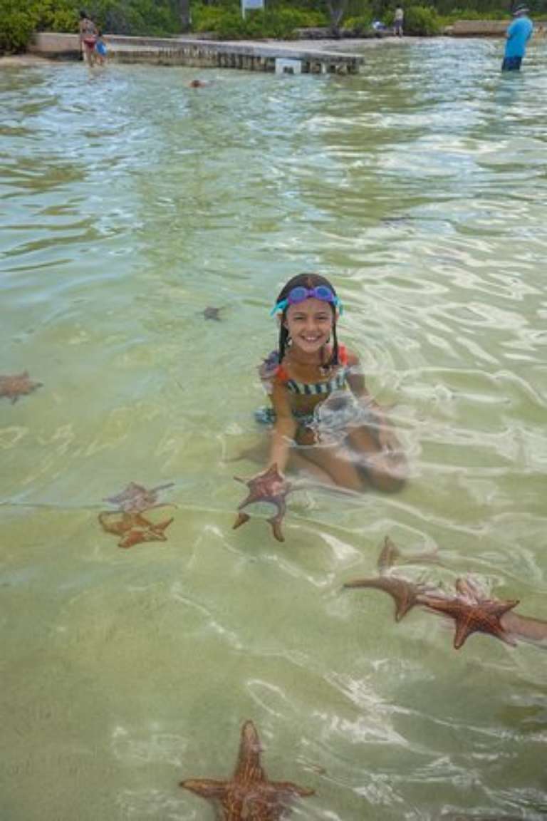 Cobalt Custom Charters