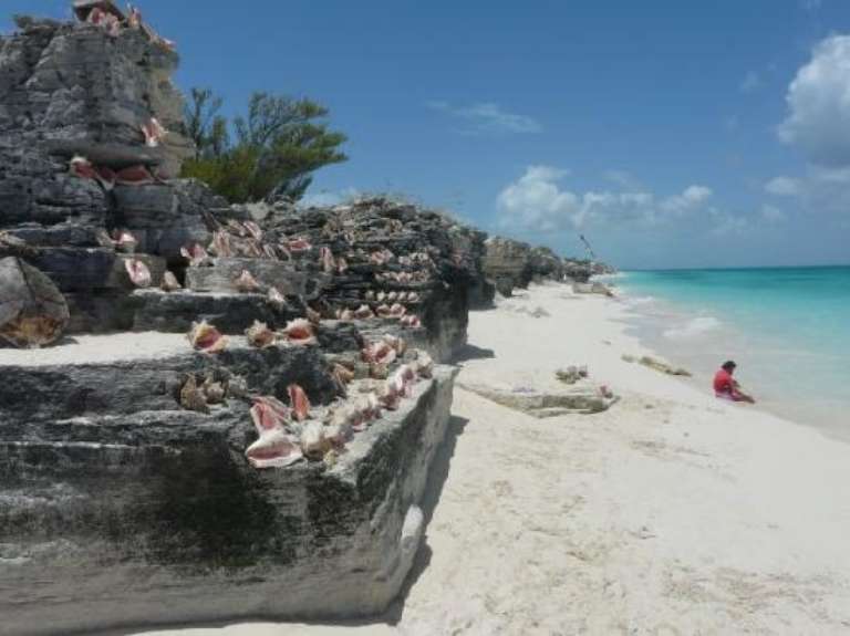 Provo Real Deal Day Tours