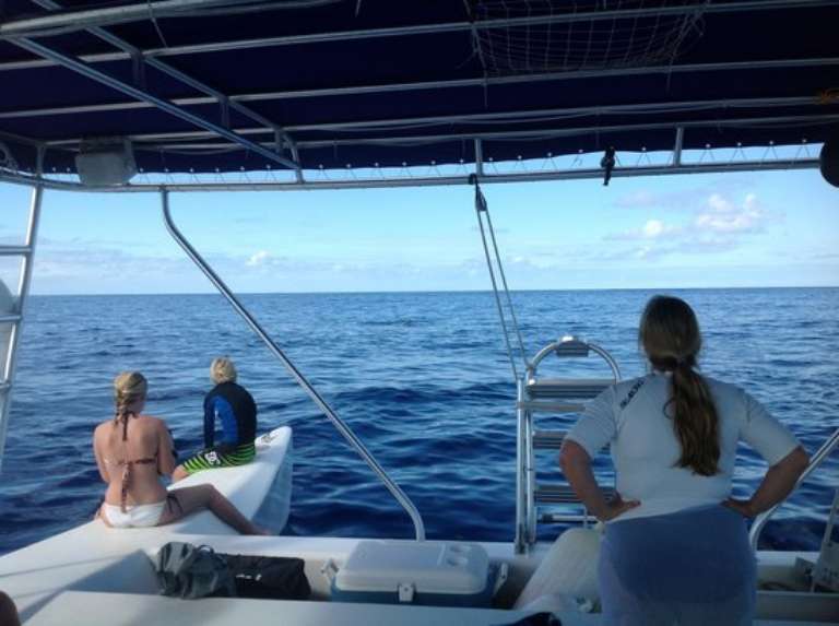 Caribbean Cruisin Charters, Tours & Excursions