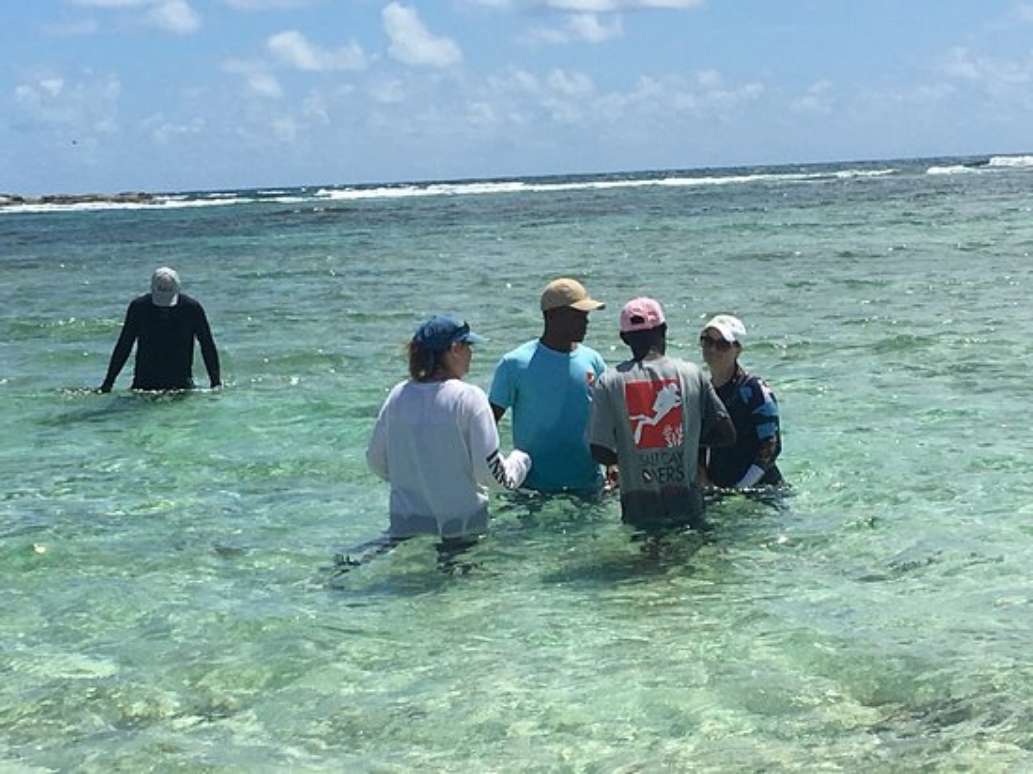 Salt Cay Divers