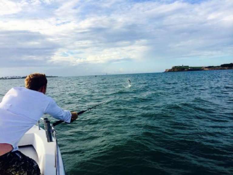 Bayside Fishing Charters