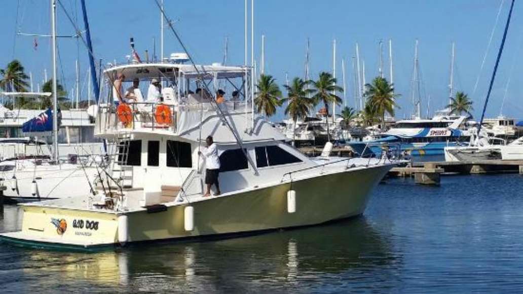 Bad Dog Charters